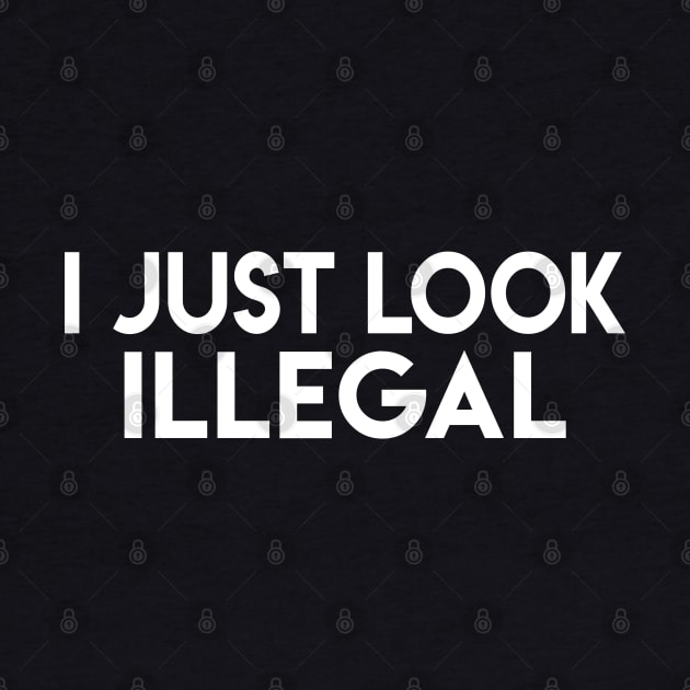 I Just Look Illegal by Elvdant